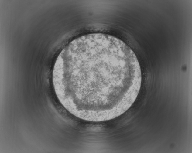 X0000115850643200912242038