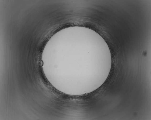 X0000115850645200912242038