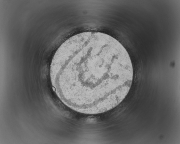 X0000115850647200912242038