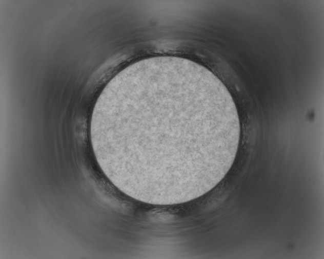 X0000115850648200912242038
