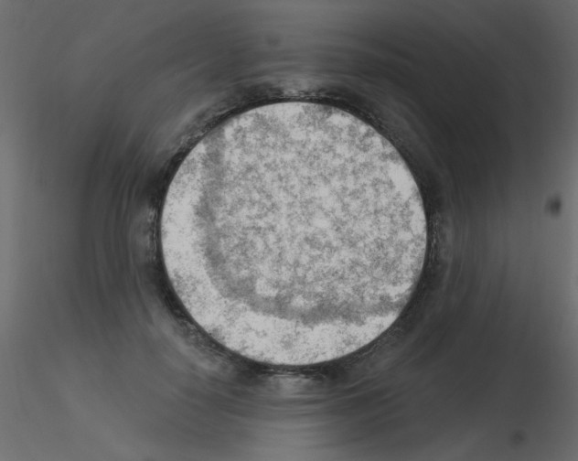 X0000115850650200912242038