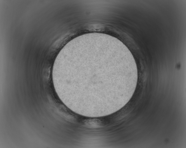 X0000115850652200912242038