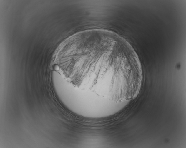 X0000115850657200912242039