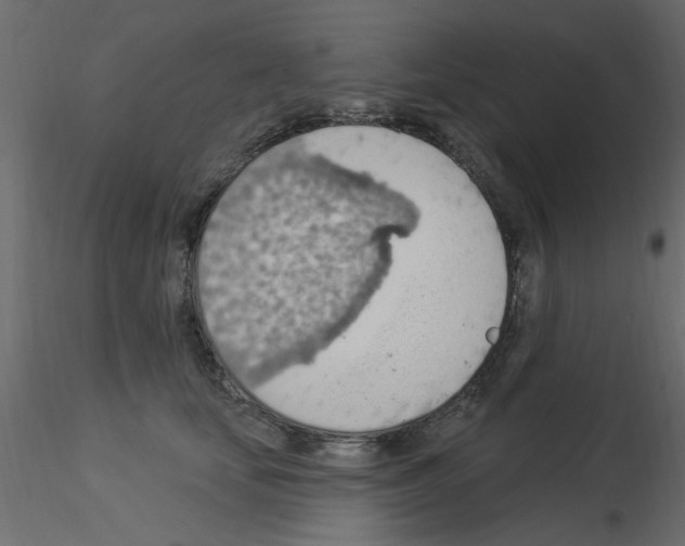 X0000115850659200912242039