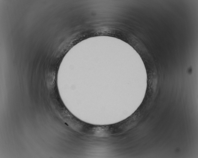 X0000115850660200912242039