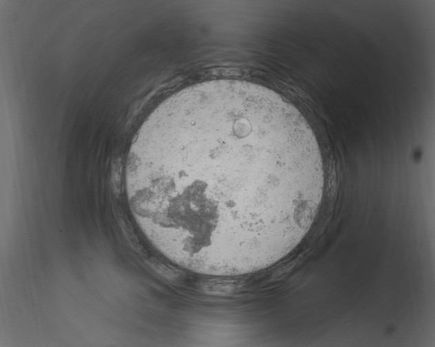 X0000115850661200912242039