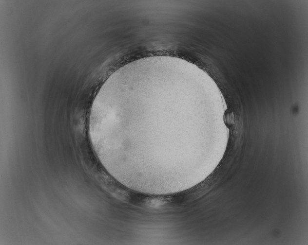 X0000115850662200912242039