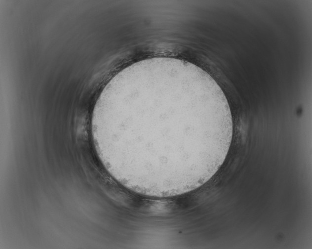 X0000115850663200912242039
