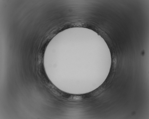 X0000115850665200912242039