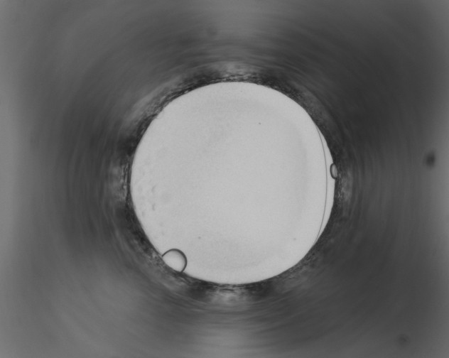 X0000115850666200912242039
