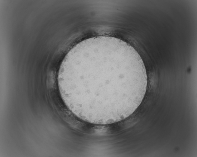 X0000115850667200912242039