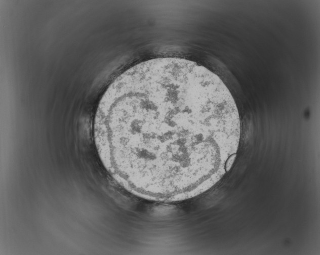 X0000115850669200912242039