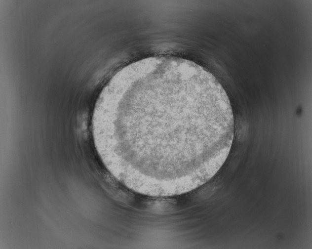 X0000115850670200912242039
