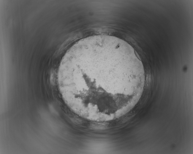 X0000115850671200912242039