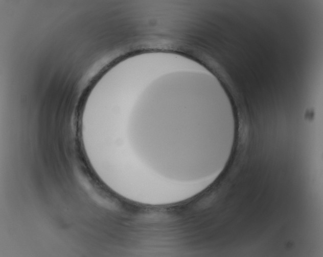 X0000115850674200912242038