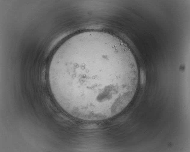 X0000115850675200912242038