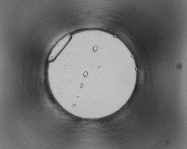 X0000115850676200912242038
