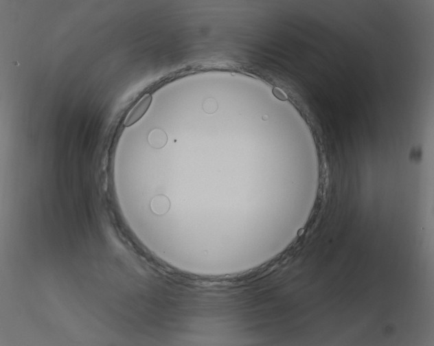 X0000115850680200912242038