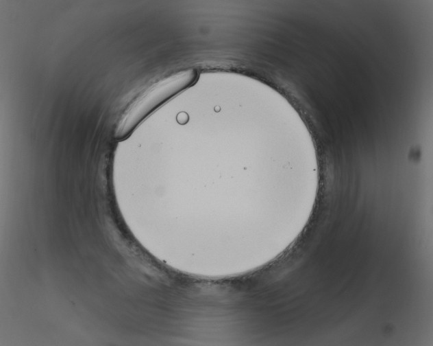 X0000115850681200912242038