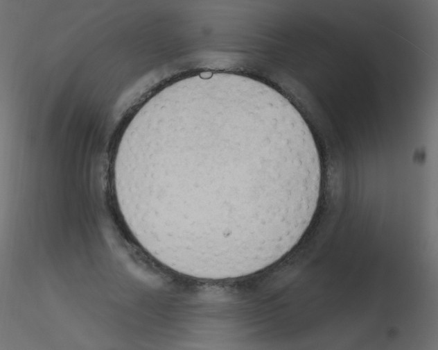 X0000115850682200912242038