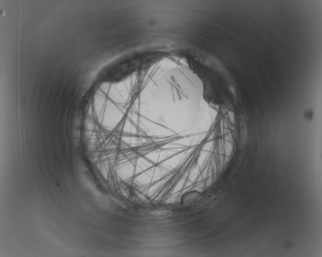 X0000115850683200912242038