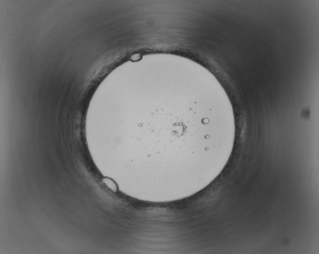 X0000115850685200912242038