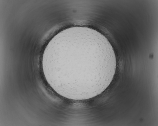 X0000115850686200912242038