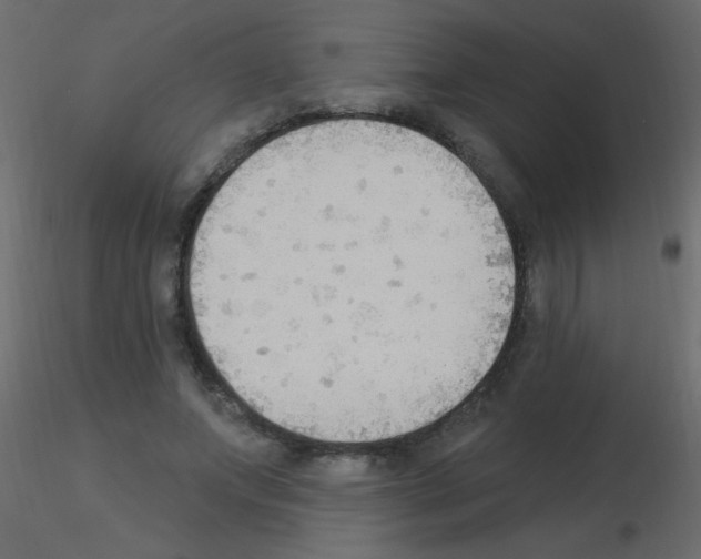 X0000115850687200912242038