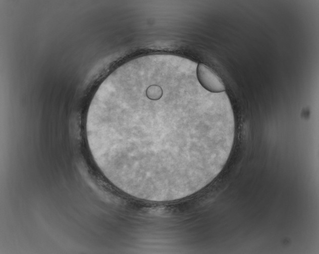 X0000115850688200912242038