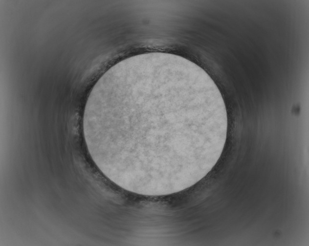 X0000115850689200912242038
