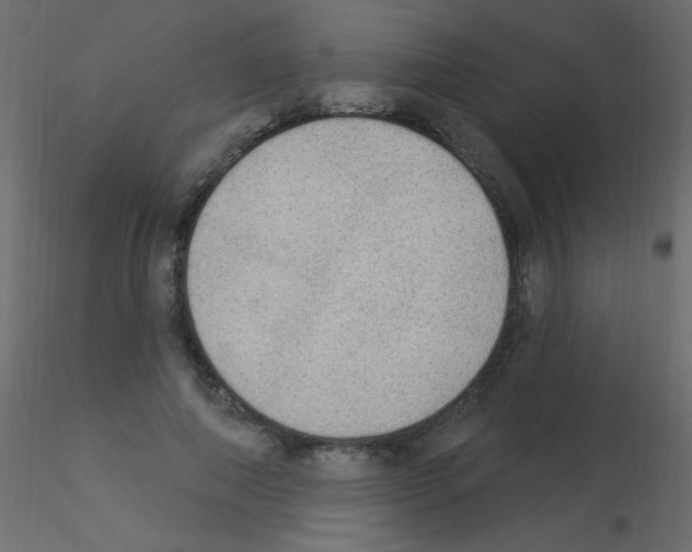 X0000115850690200912242038
