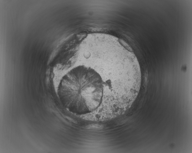 X0000115850691200912242038