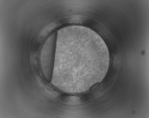 X0000115850692200912242038