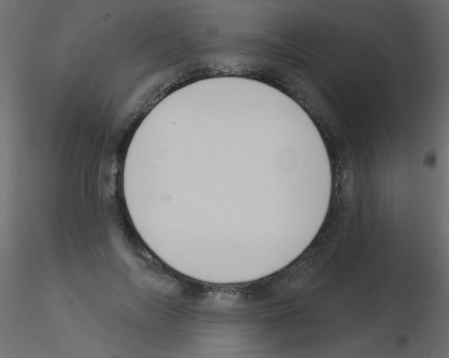 X0000115850694200912242038