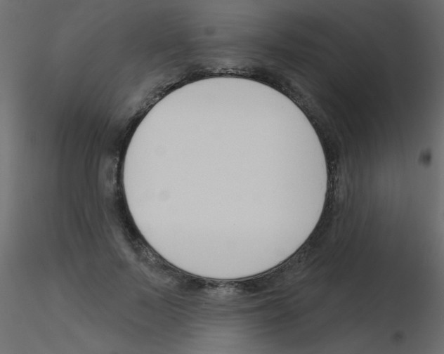 X0000115850695200912242038