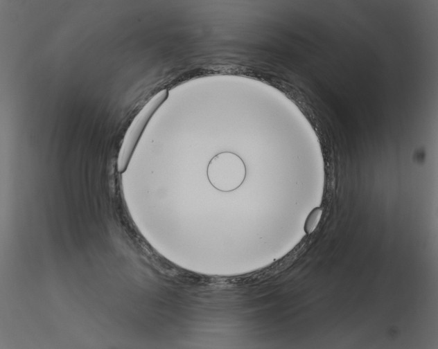 X0000115850696200912242038