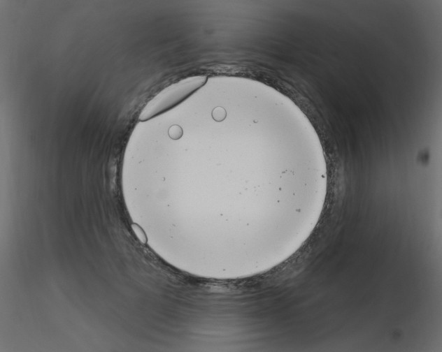 X0000115850697200912242038