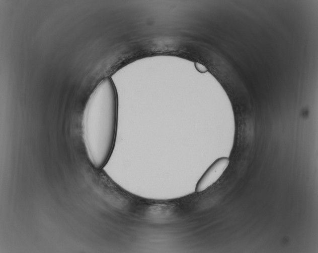 X0000115850700200912242038