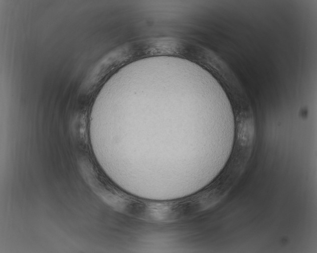 X0000115850701200912242038