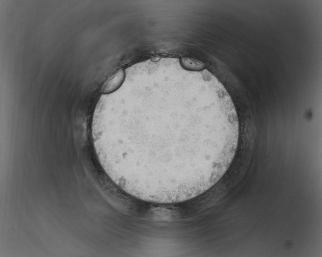 X0000115850703200912242038