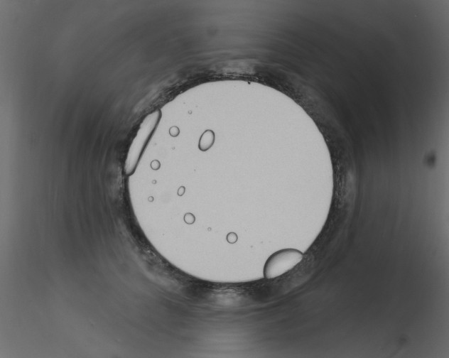X0000115850704200912242038