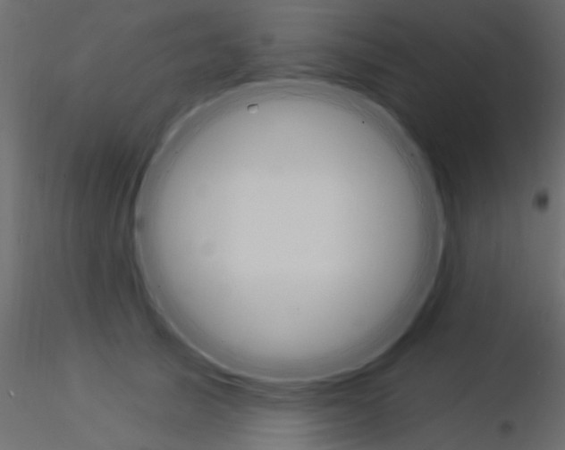 X0000115850705200912242038