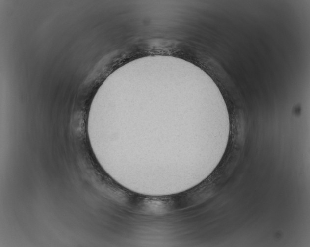 X0000115850706200912242038
