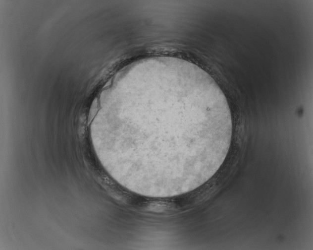 X0000115850708200912242038