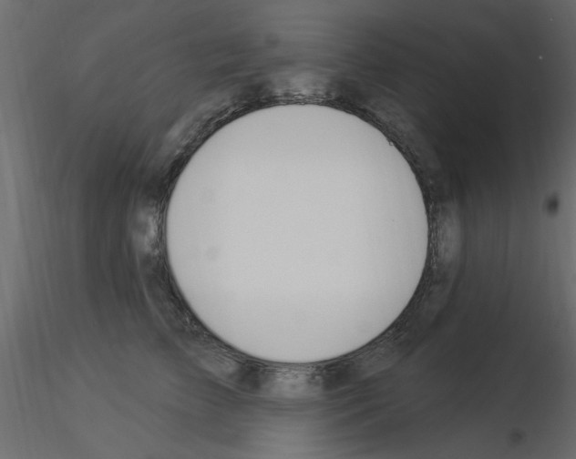 X0000115850709200912242038