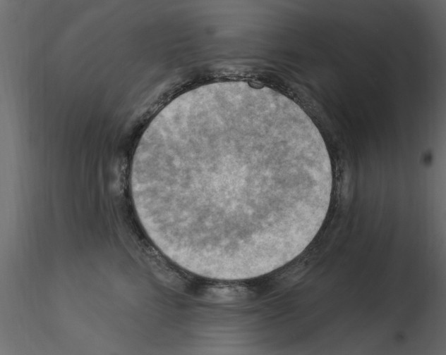 X0000115850712200912242038