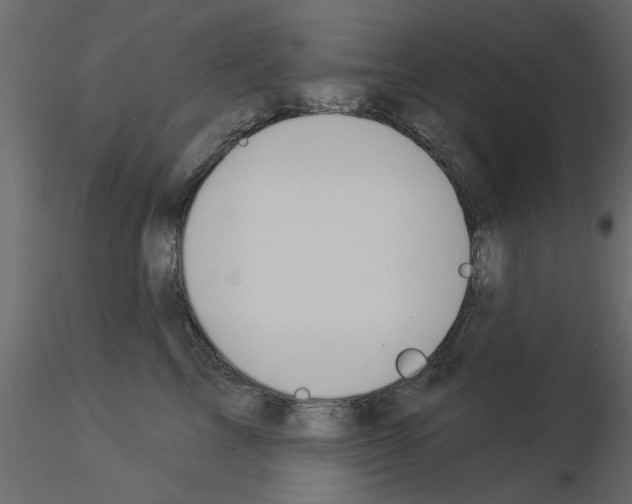 X0000115850713200912242038