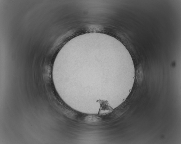 X0000115850714200912242038