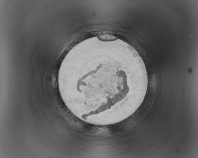 X0000115850715200912242038