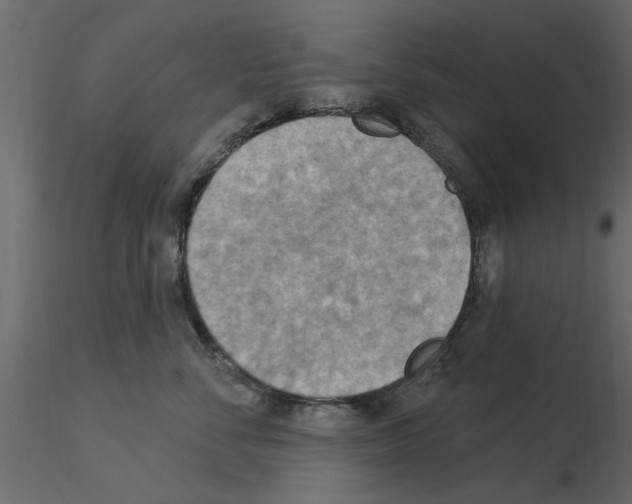 X0000115850716200912242038